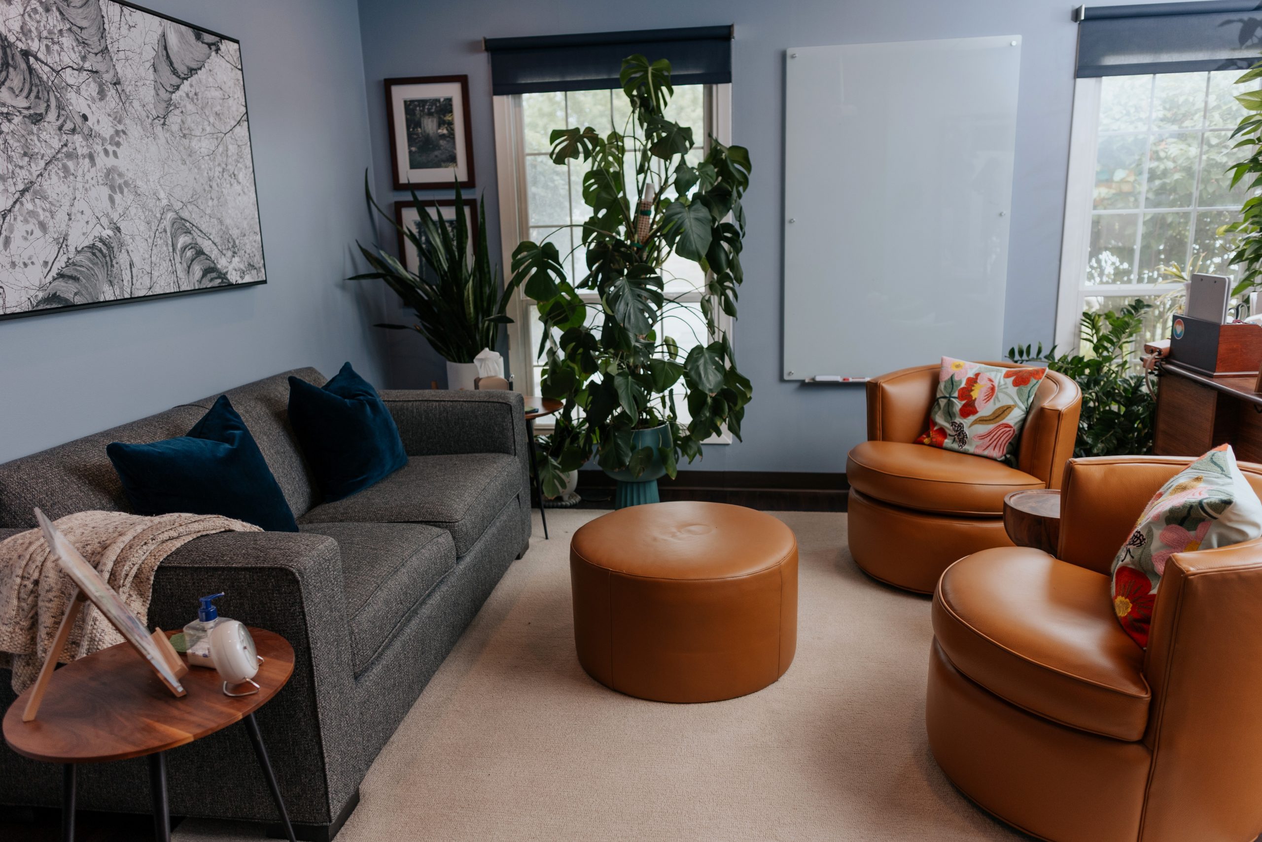 South Barrington Eating Disorder Therapy office - HAES Therapy - Queer friendly space